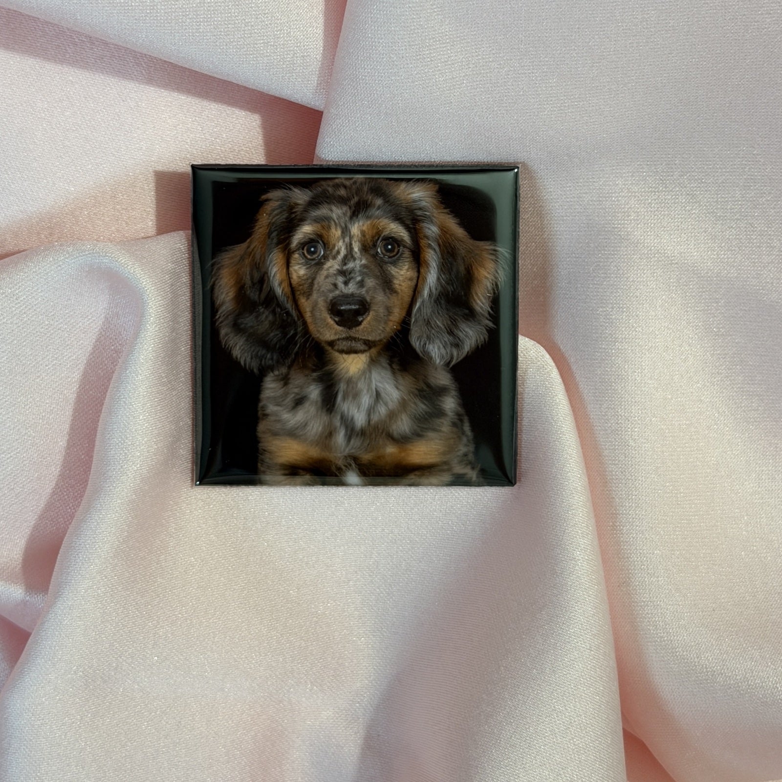 Een persoonlijke fotomagneet met een hond op zachte crème stof
